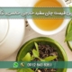 قیمت چای سفید خارجی