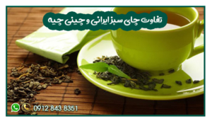 تفاوت چای سبز ایرانی و چینی چیه