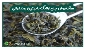 مراکز فروش چای اولانگ با بهترین برند ایرانی